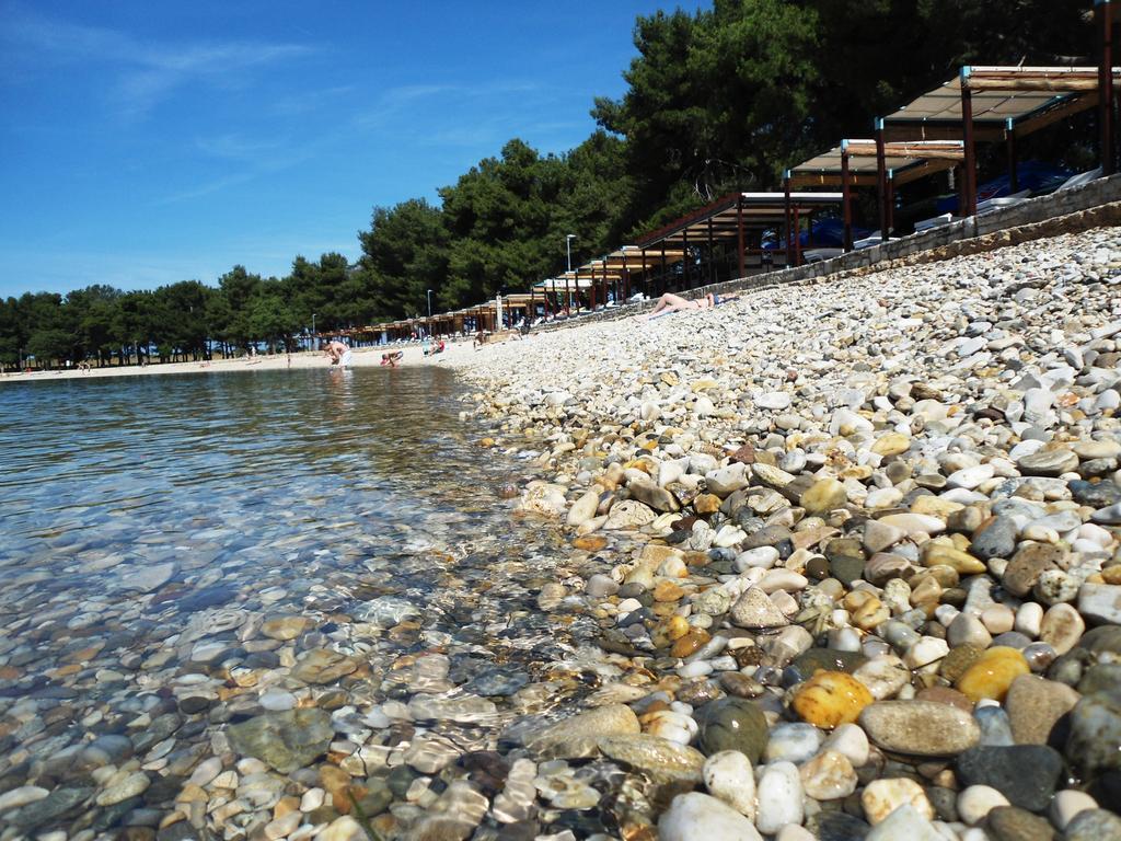 Guest House Gloria Novigrad Istria Exterior foto